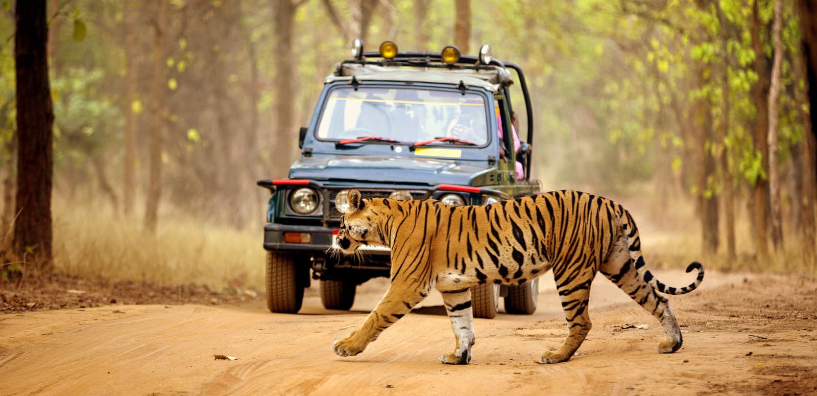 Valmiki National Park